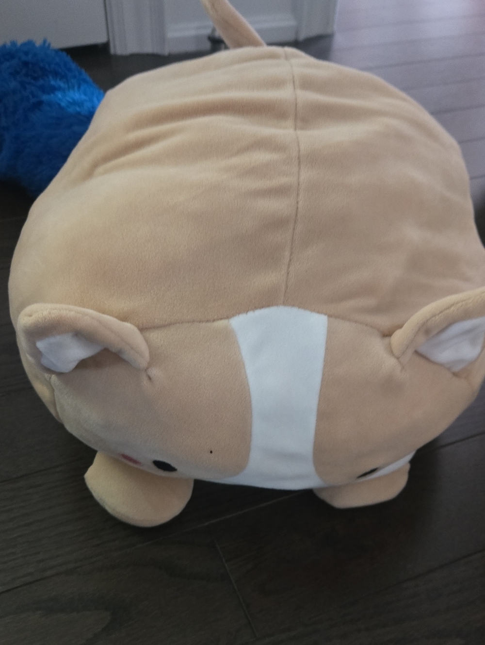 Plush Pet Toy - Beige and White Soft Corgi Plush